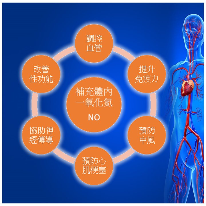 一氧化氮NO會影響全身